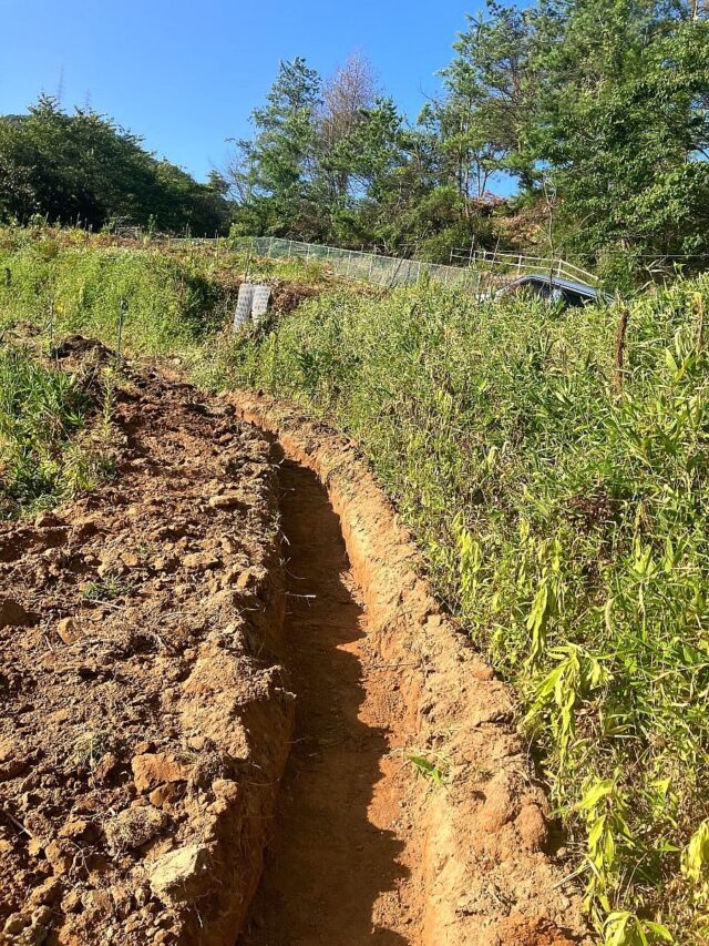 風早圃場