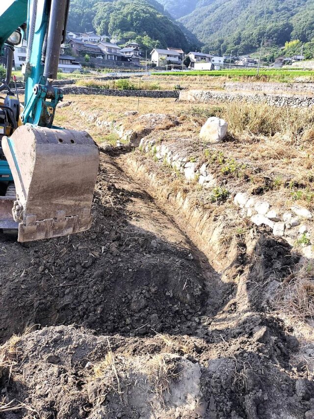 風早圃場