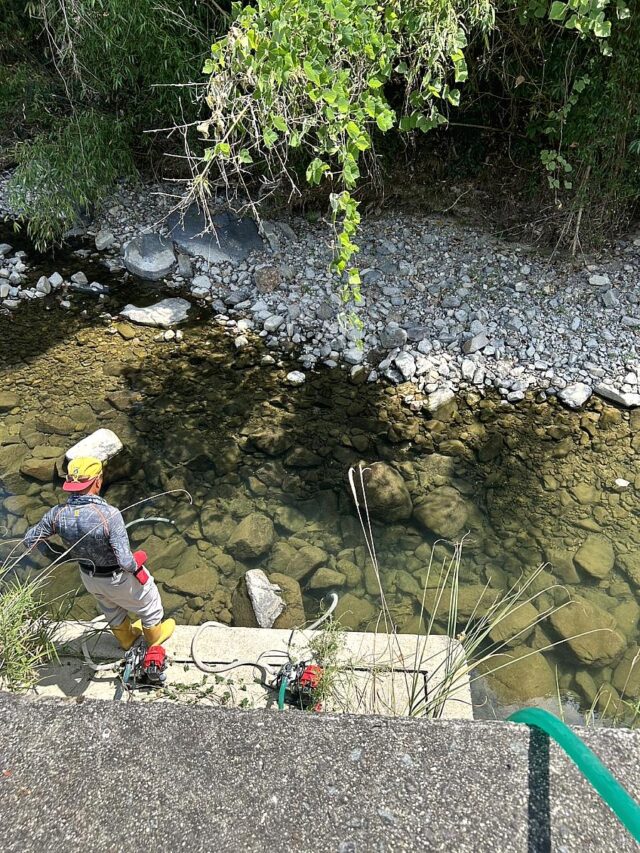 風早圃場