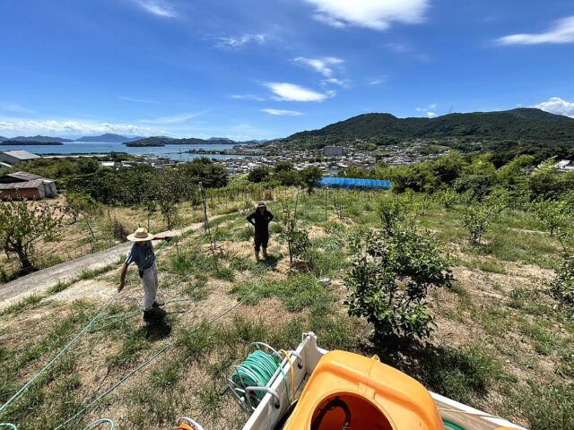 風早圃場