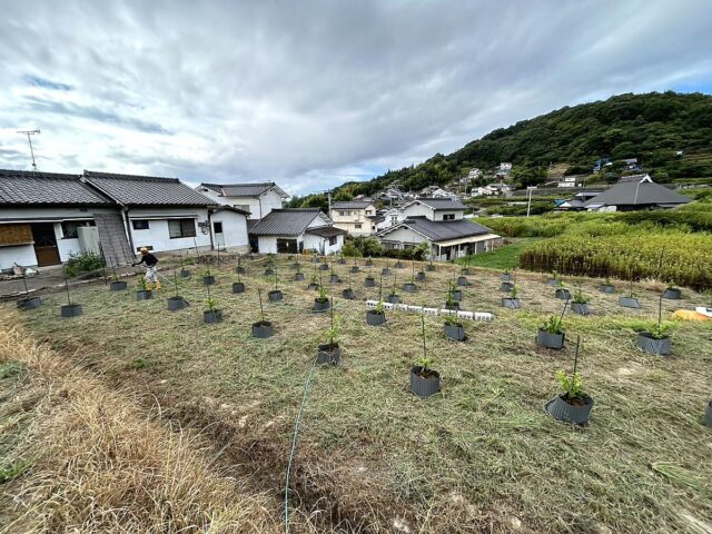 木谷圃場