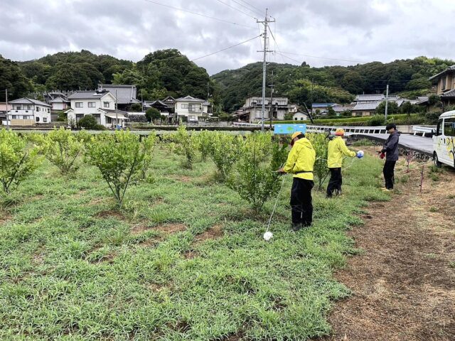 江田島圃場