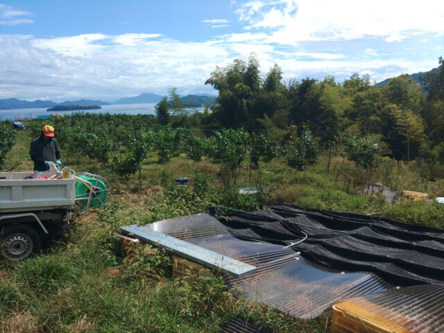 山田圃場