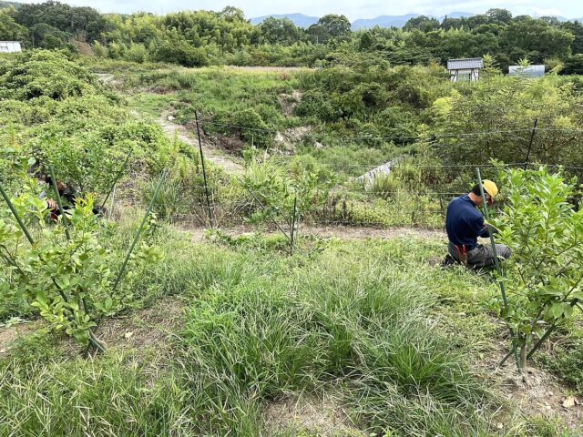 木谷圃場