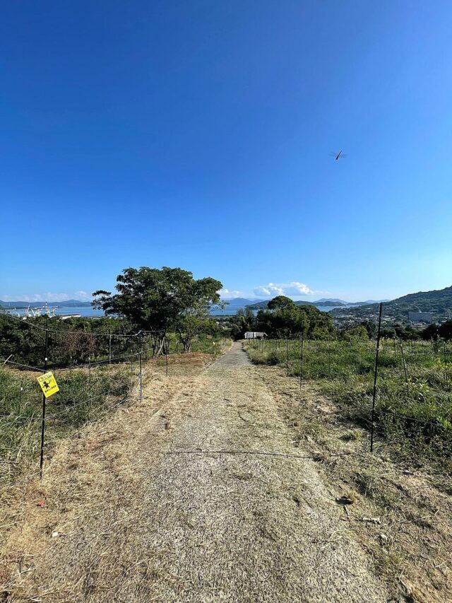 江田島圃場