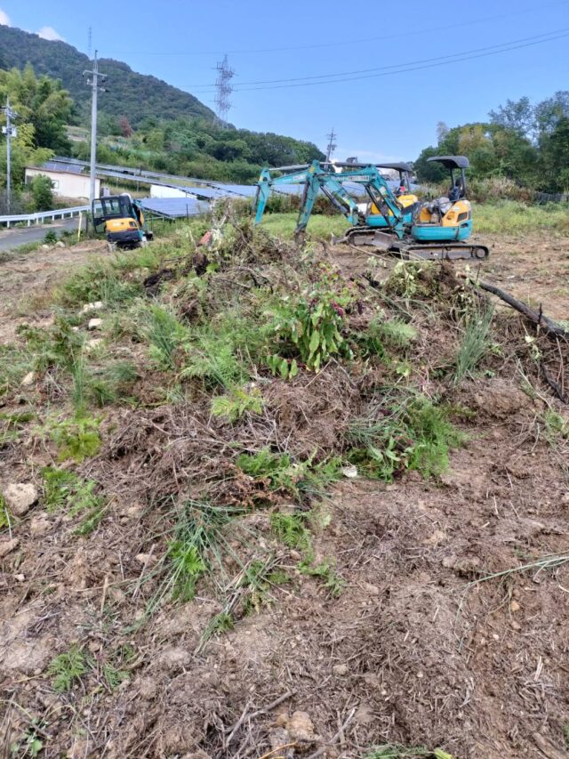 風早圃場