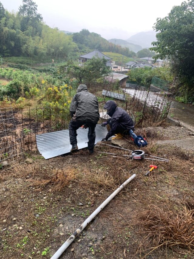 赤崎半島圃場