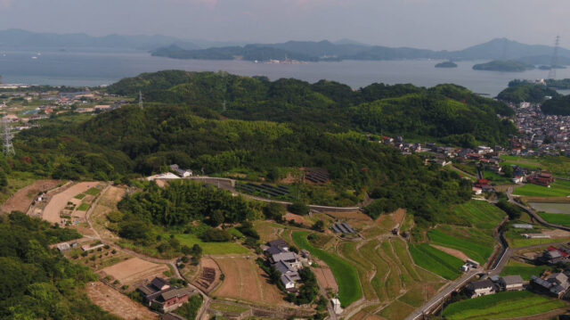 山田圃場