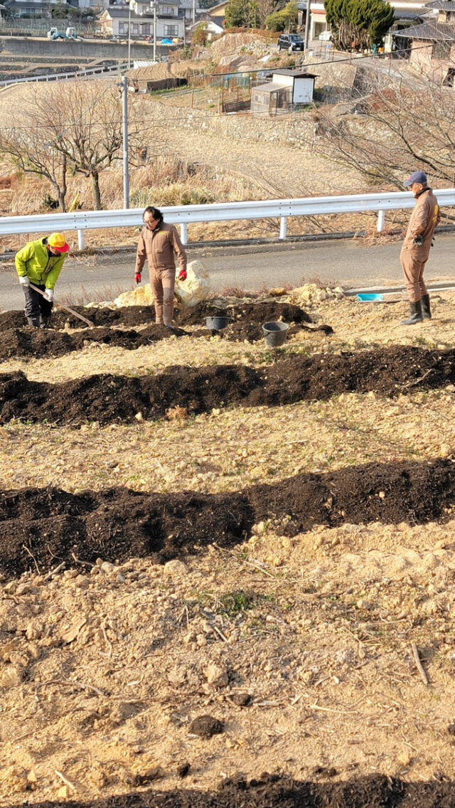 東吉名圃場