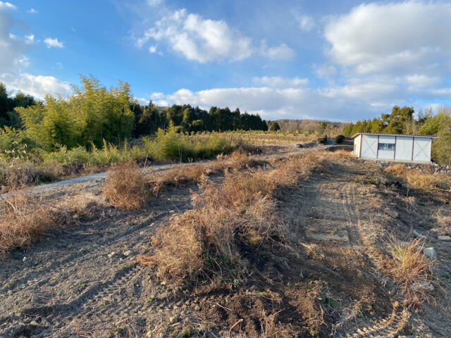 風早圃場