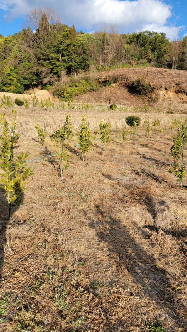 木谷圃場