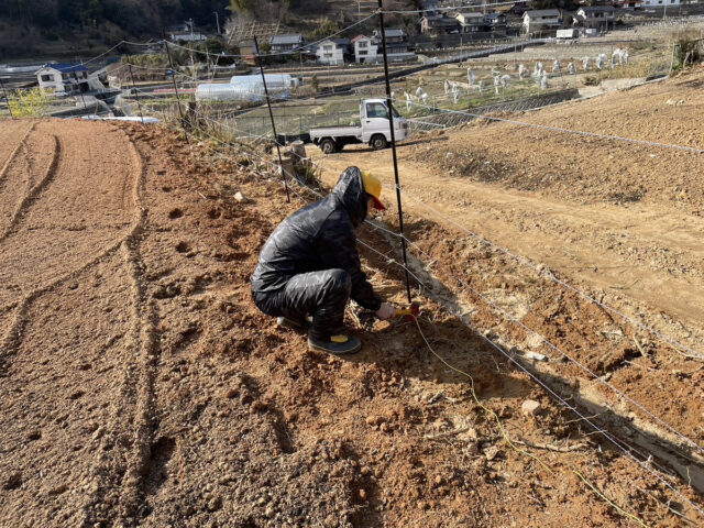 八本松圃場