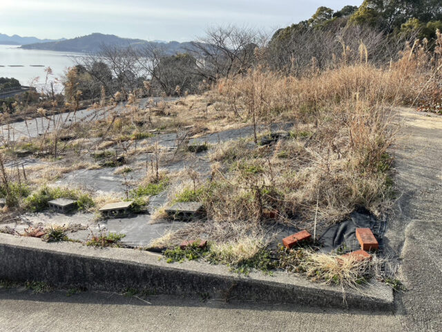 八本松圃場