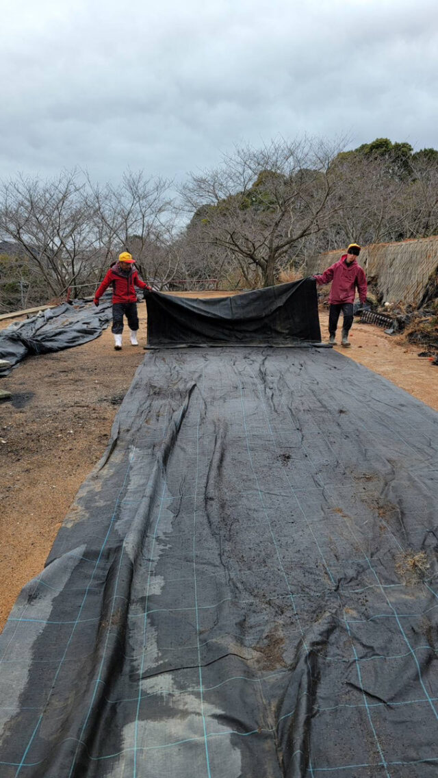 小松原圃場