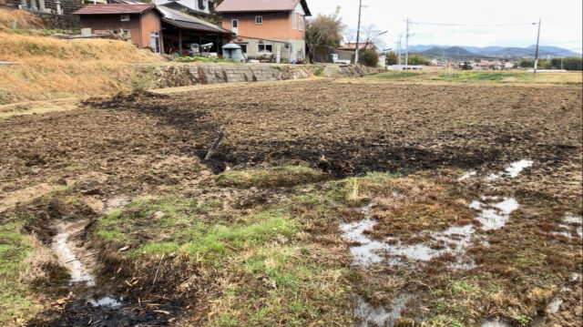 小松原圃場