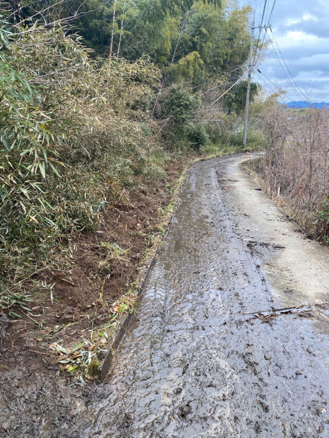 奥江田島圃場