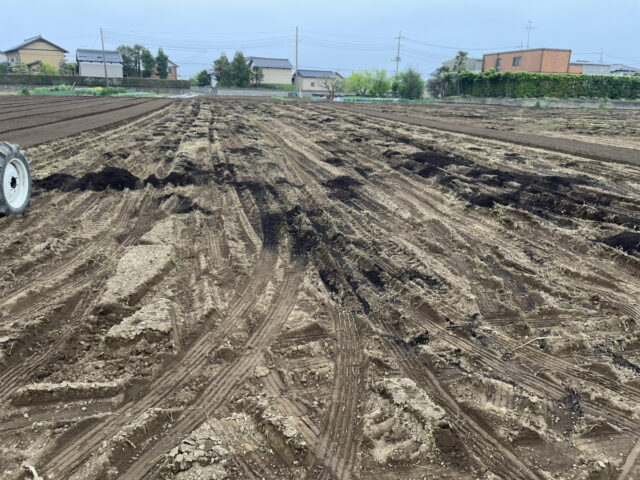 八本松圃場