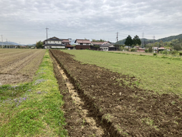 八本松圃場