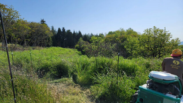 八本松圃場