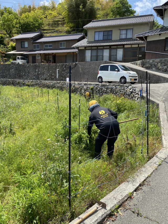 吉名圃場