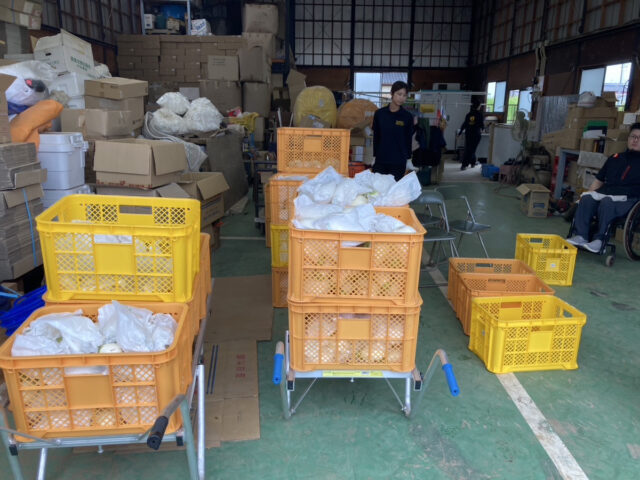茨城白茄子圃場