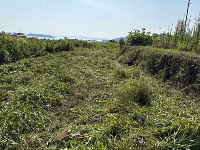 赤崎半島圃場