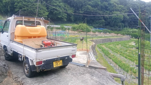 吉名圃場