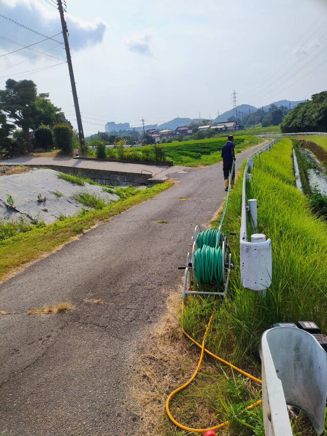 八本松唐辛子圃場