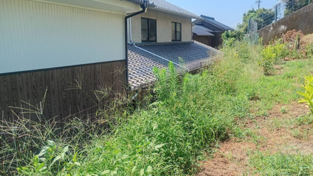 奥吉名圃場