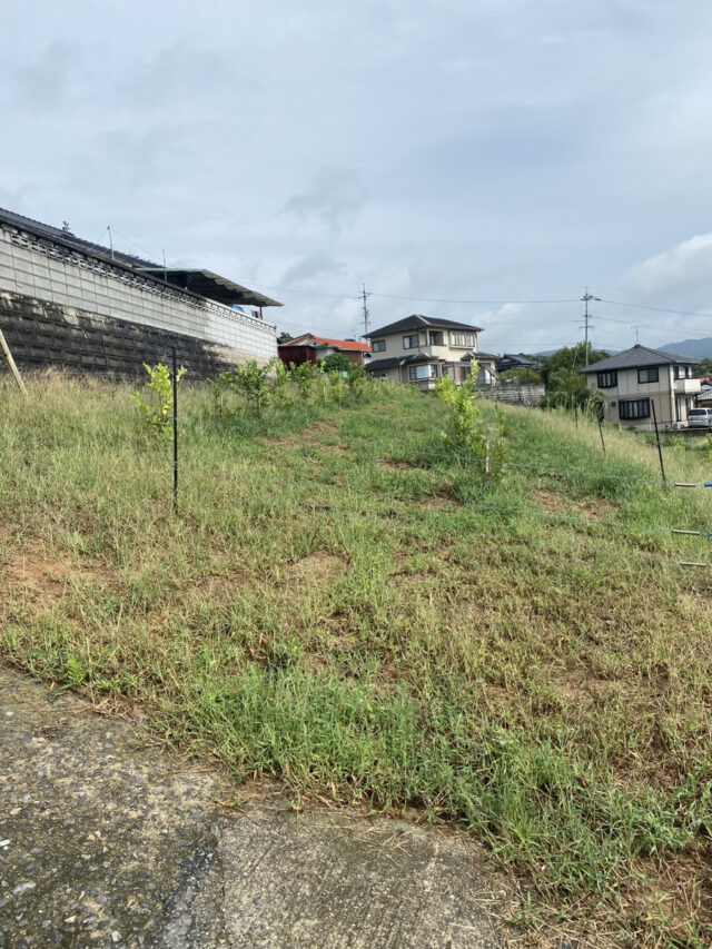 小松原圃場