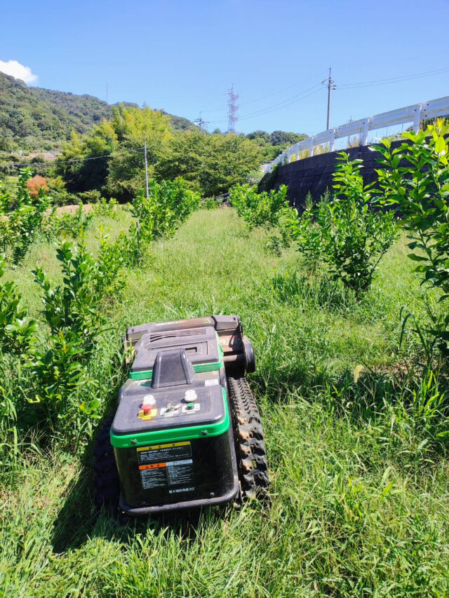茨城圃場