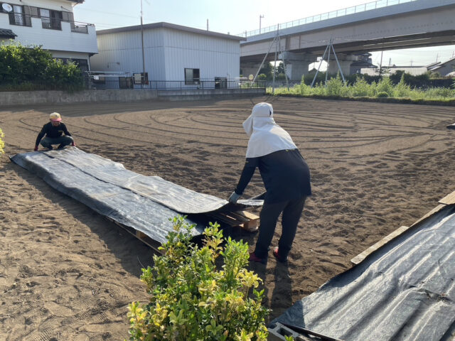 茨城圃場