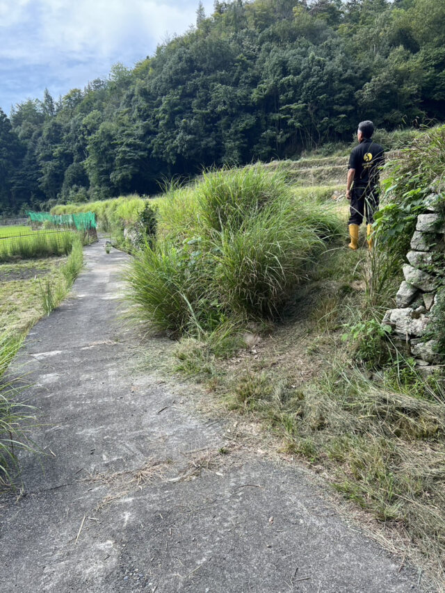女子畑圃場