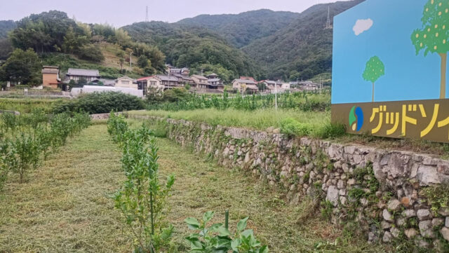 吉名圃場