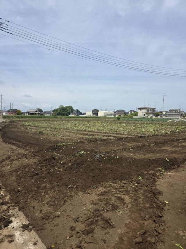 境町第5圃場・第24圃場