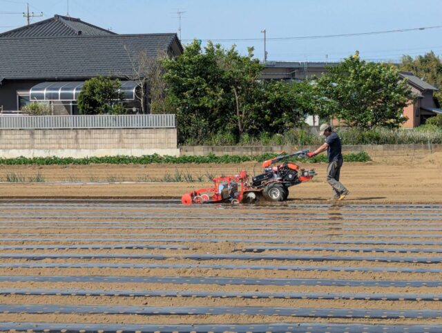 五霞第12圃場・五霞第17圃場